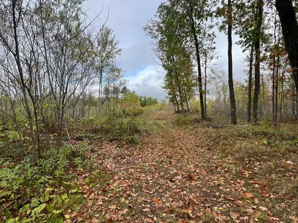73843 Markville, Arna Twp, MN 55072