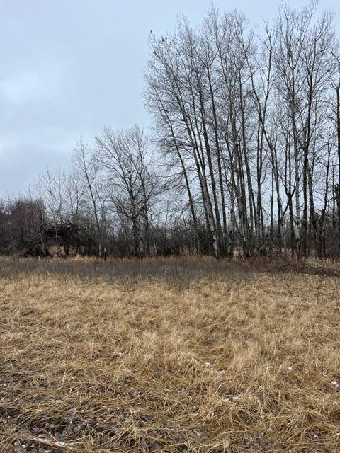 Princeton Twp, MN 55371,000 65th St Block 1 Lot 2