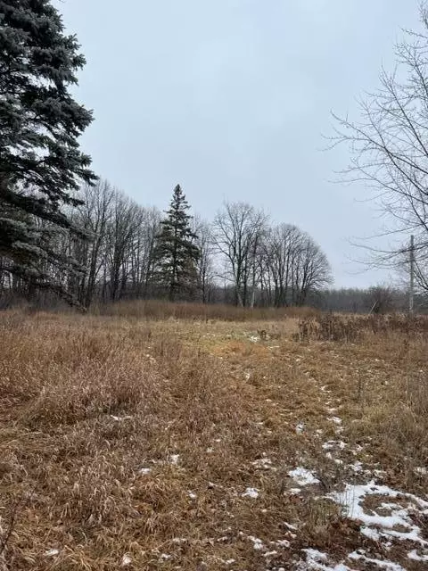 Princeton Twp, MN 55371,000 110th Ave Block 1 Lot 4