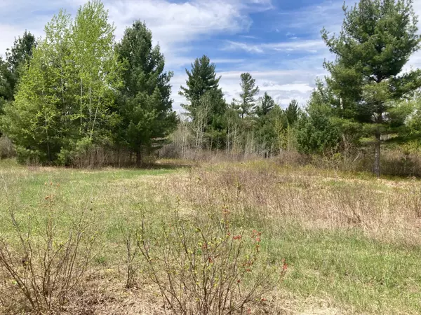 Siren Twp, WI 54872,Lot 5 Surely Drive