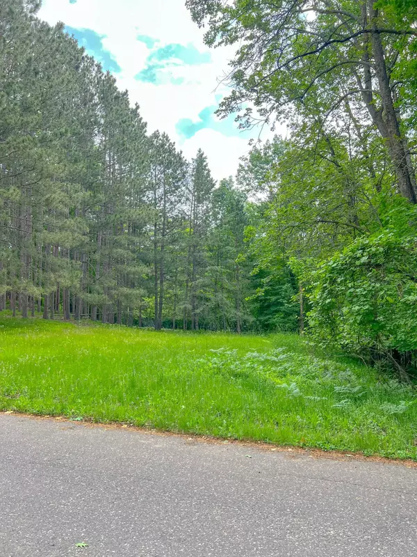 Bay Lake Twp, MN 56444,15081 Damsgaard RD