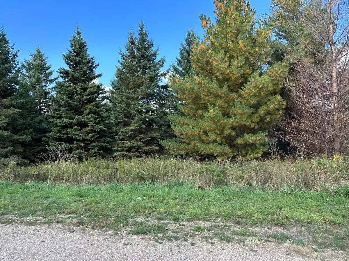 Detroit Twp, MN 56501,Lot #20 Lidstrom RD