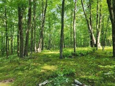 Jackson Twp, WI 54830,Lot 165 Deerpath RD