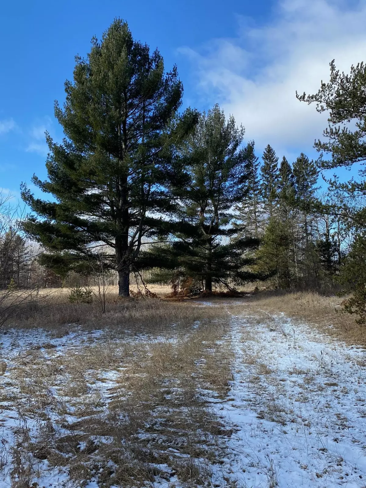 Pine River, MN 56474,1635 State 84 SW