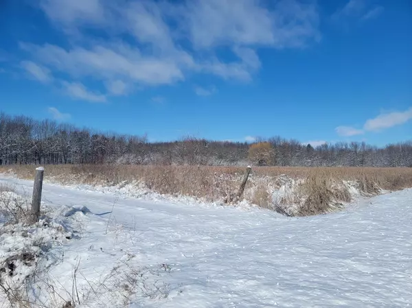 Hammond, WI 54002,xxxx 200th ST