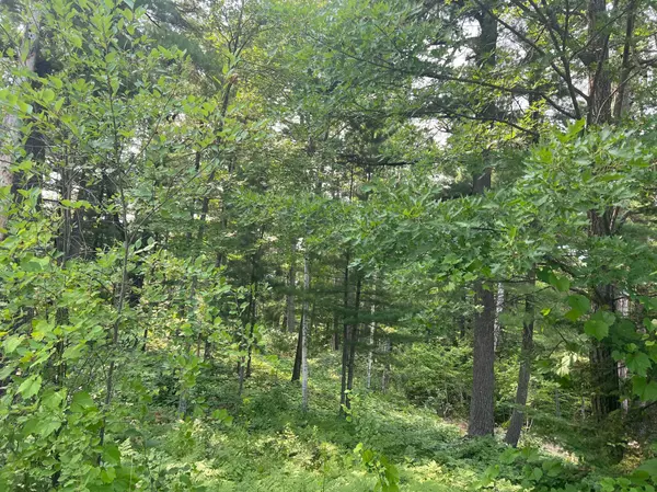 Walker, MN 56484,TBD Lot 3 5th ST S