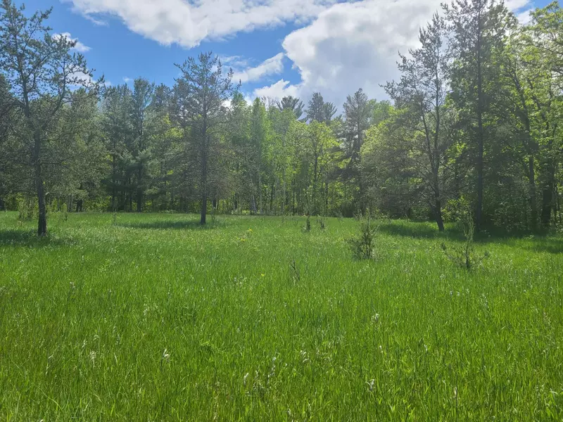 XXX Arrowhead DR, Pine River, MN 56474