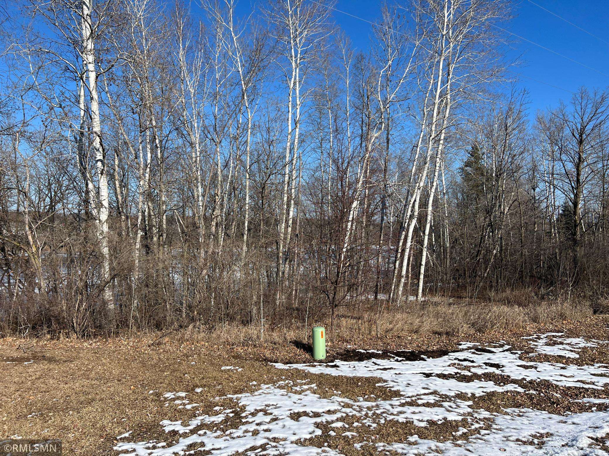 Arthur Twp, MN 55051,2048X Ann River DR