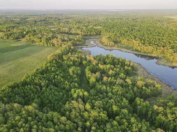 Farden Twp, MN 56633,TBD Silver Brook Road