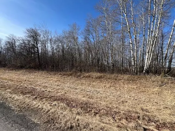 Little Falls, MN 56345,xxx Dove Road