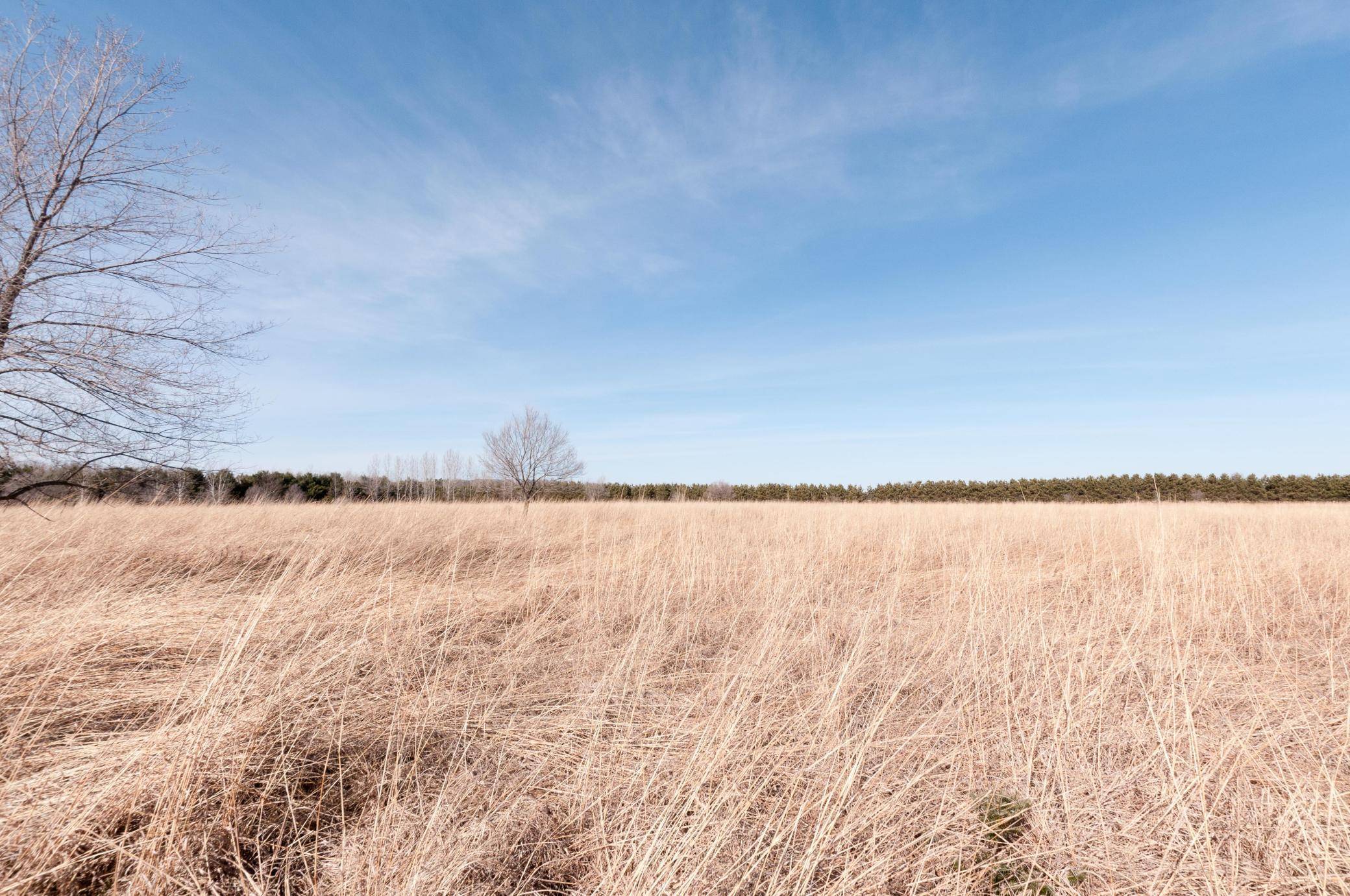 Sioux Creek Twp, WI 54728,XXX 4 1/2 AVE