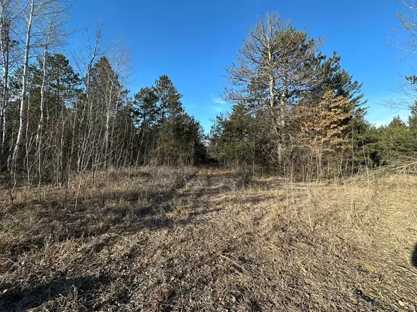 Menahga, MN 56464,TBD County 136