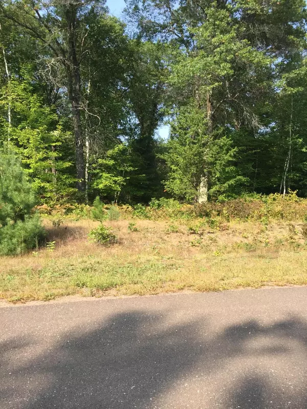 Siren, WI 54872,Lot 16 Shady LN