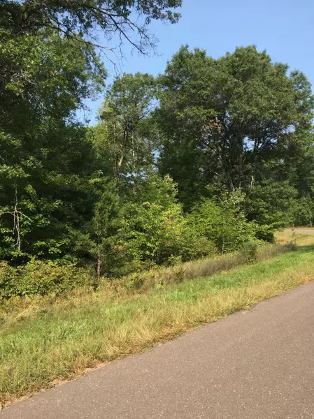 Lot 20 Shady LN, Siren, WI 54872