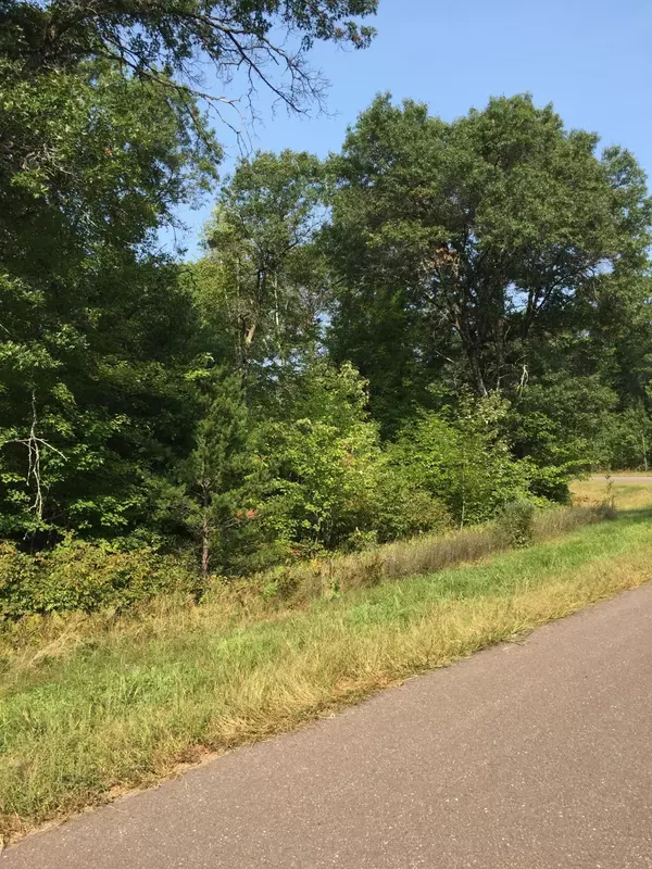 Siren, WI 54872,Lot 22 Shady LN