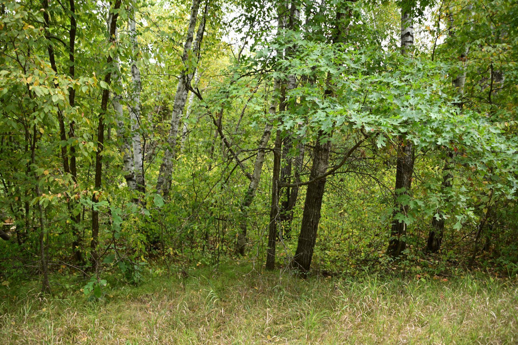 Moran Twp, MN 56438,XXX Oak DR