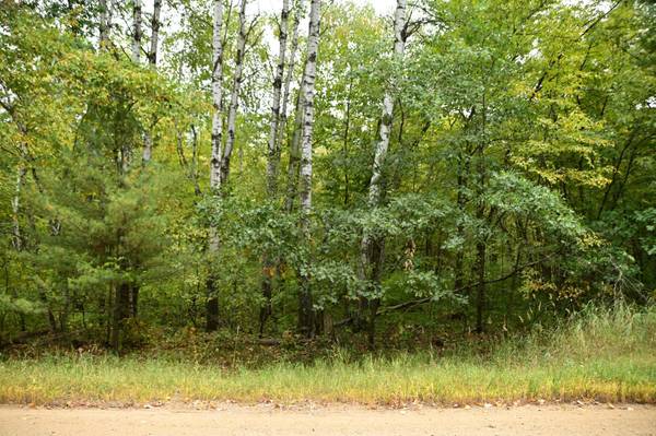 XXX Oak DR, Moran Twp, MN 56438