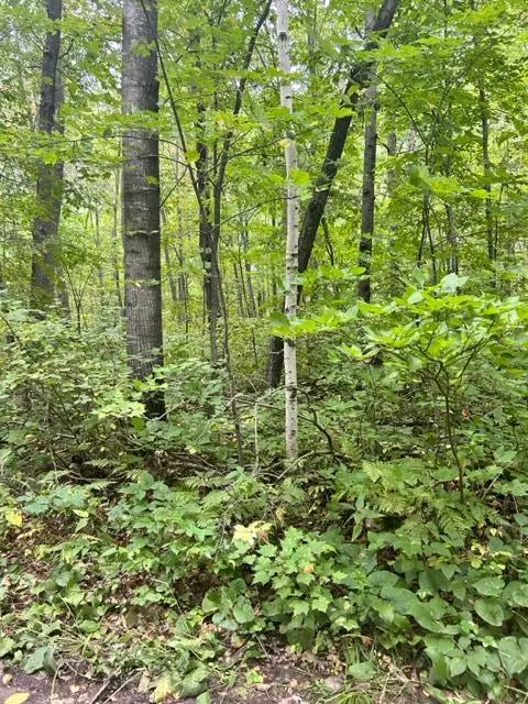 Cushing, MN 56443,xxx Opal LN