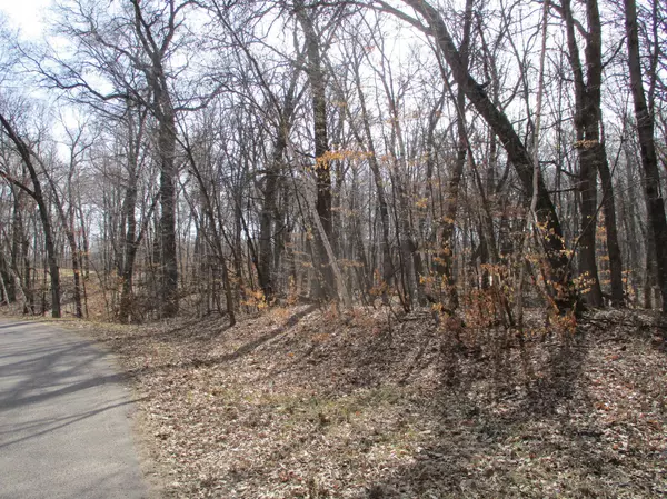 Alden Twp, WI 54026,XXX 45th Ave