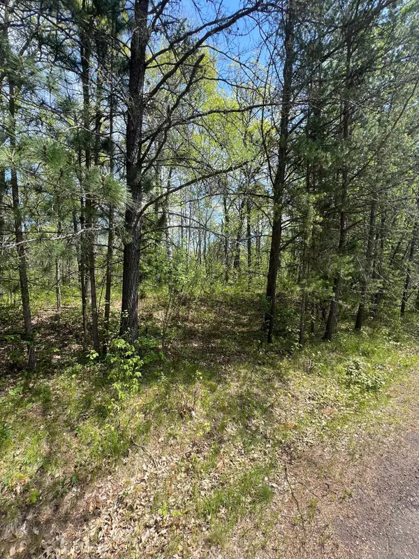 Moose Lake, MN 55767,TBD Oak Dr. (Lots 3 & 4)