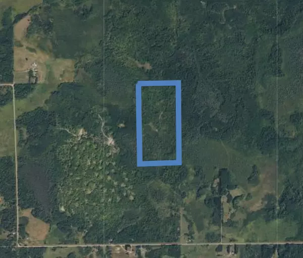 TBD Driftwood,  Rice River Twp,  MN 55760