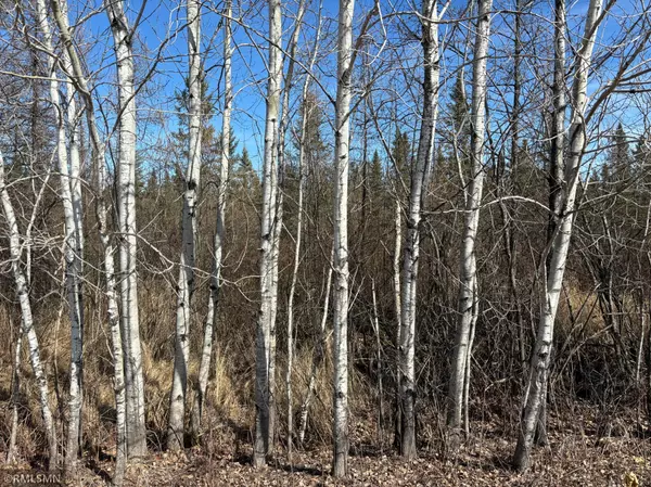 Mcgregor, MN 55760,XXX Soo Line TRL