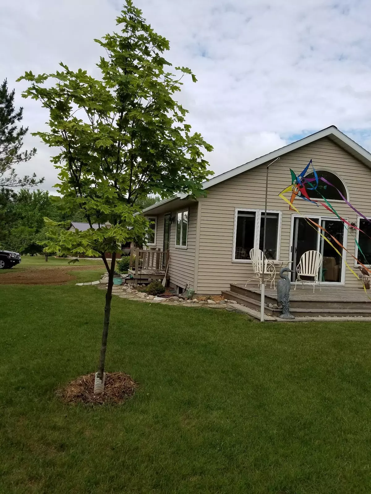 Farwell, MN 56327,6961 Violet DR SW