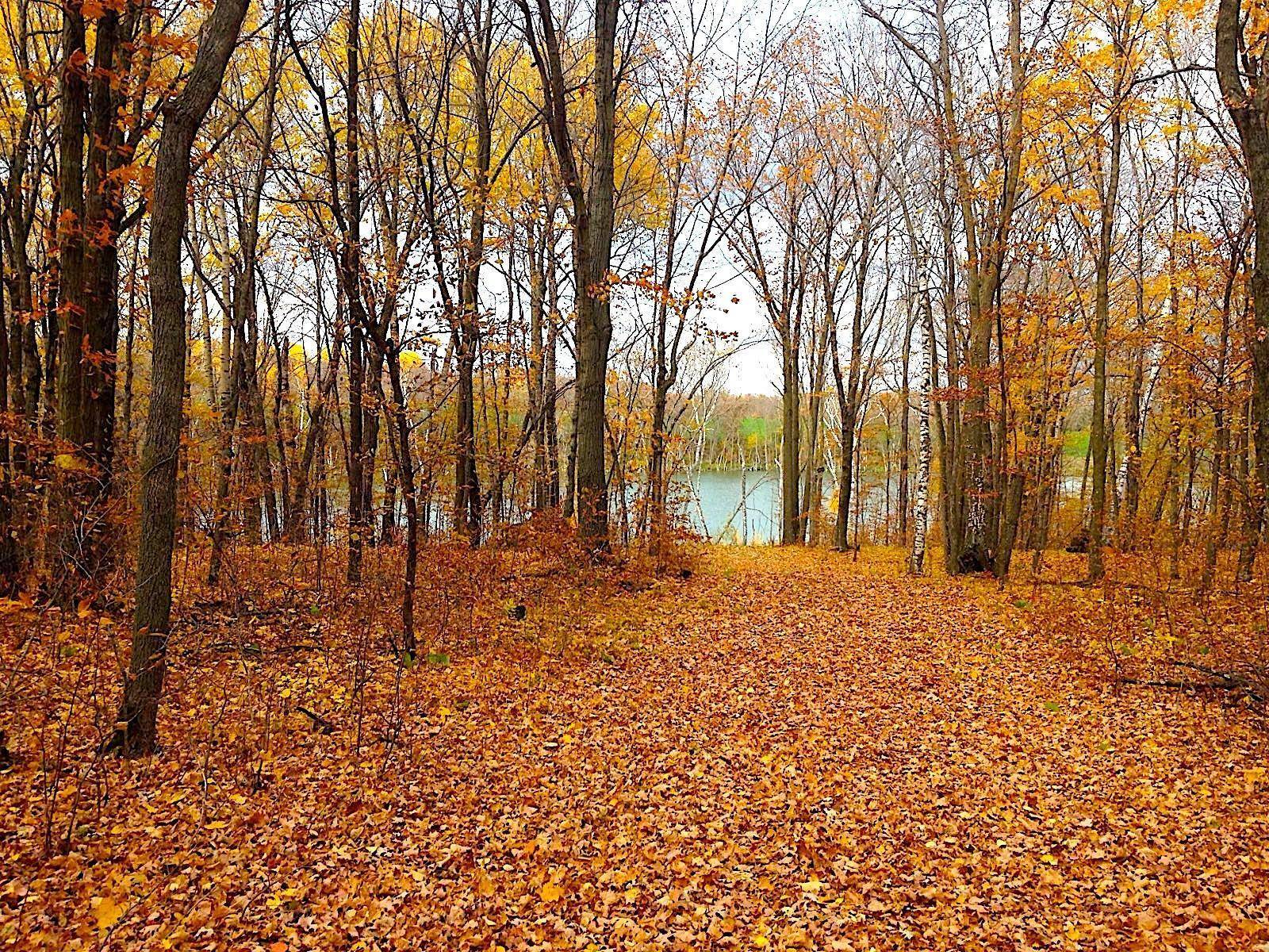 Norwegian Grove Twp, MN 56572,xxx W Olaf RD