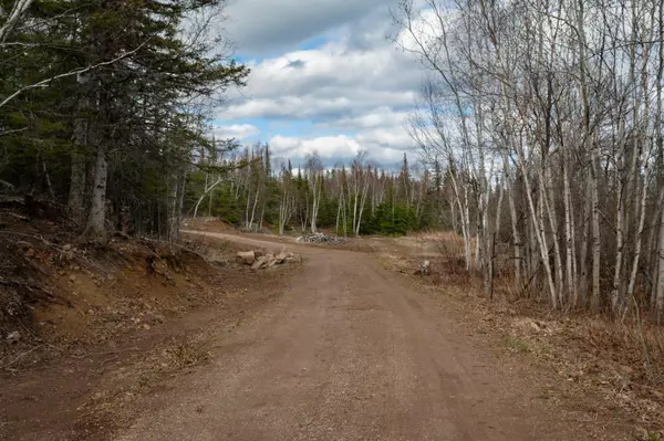 Silver Bay, MN 55614,TBD Mount Rockwood Road