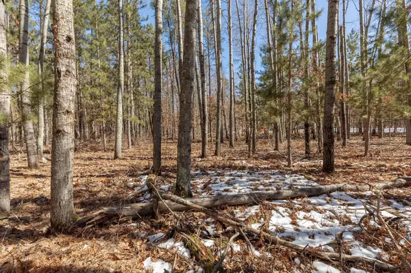 Ideal Twp, MN 56472,TBD Butternut Point RD