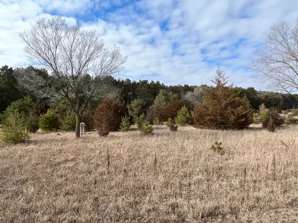 8174 159th LN NW, Ramsey, MN 55303