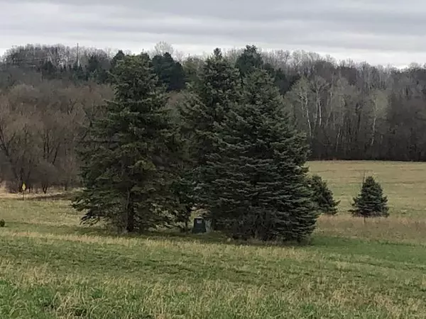 Deer Park, WI 54007,lot 16 118Th