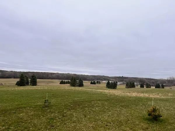 Deer Park, WI 54007,lot 17 118 ST