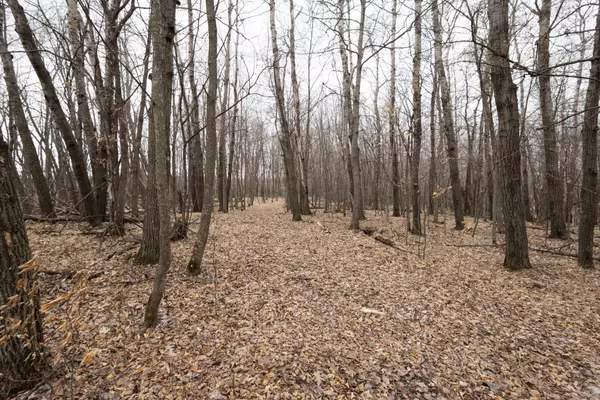 Lake Park, MN 56554,Lot 4 Saylers Beach RD