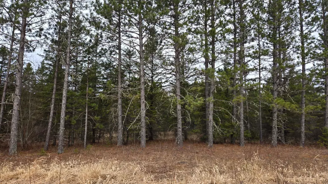 3901 Ollila RD, Leiding Twp, MN 55771