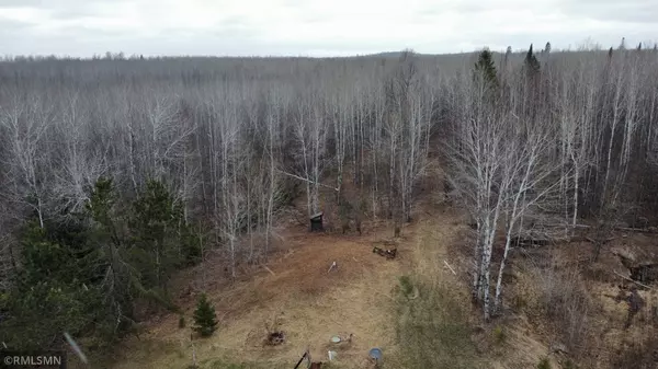 Hill City, MN 55748,32974 680th LN