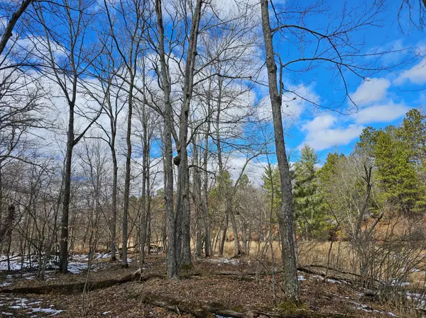 Siren, WI 54872,Lot 4 Twin Lake Rd