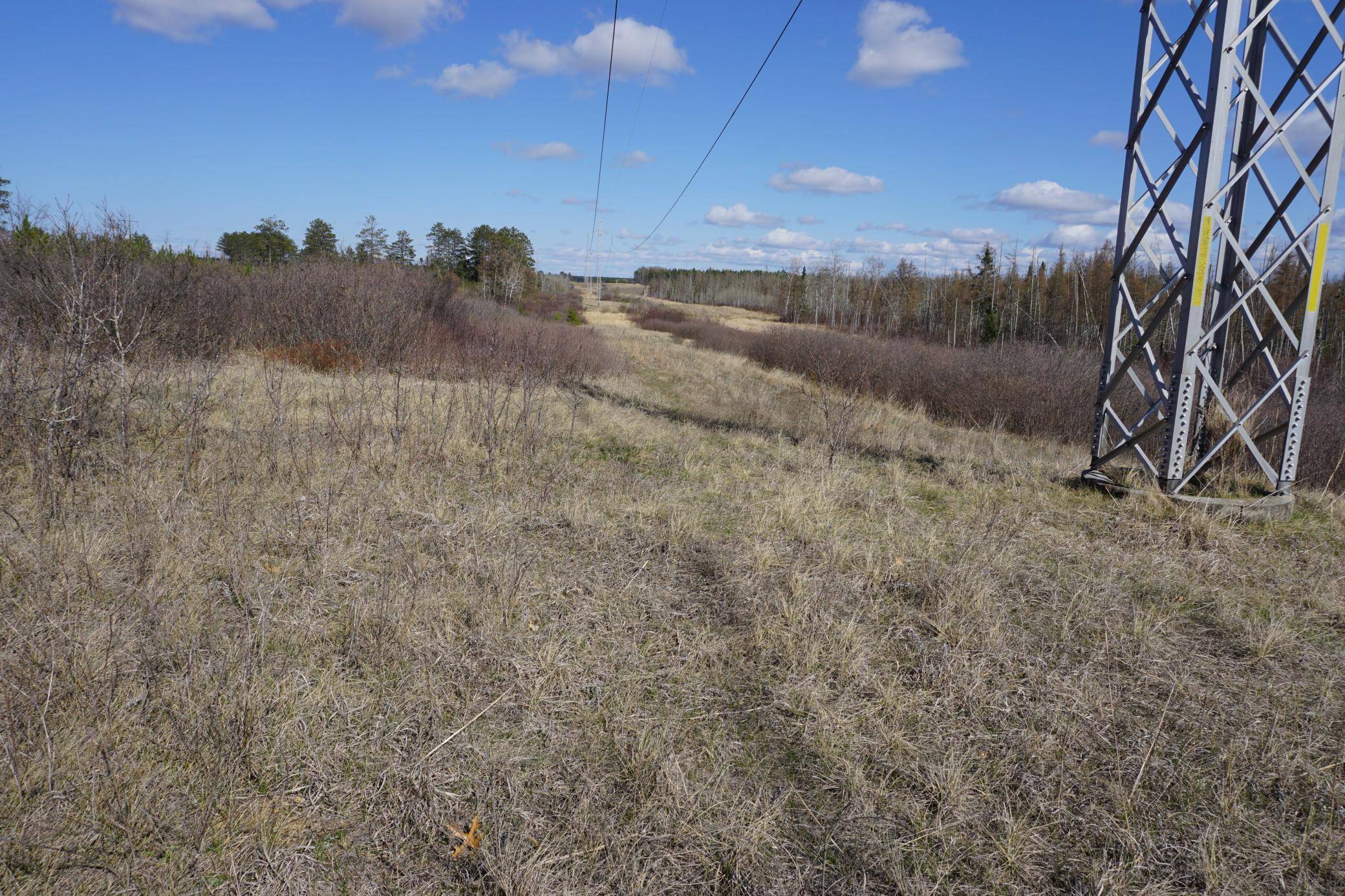 Straight River Twp, MN 56464,TBD 110th ST