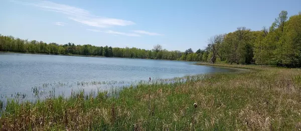 Deerwood, MN 56444,13488 Wilson Lake DR