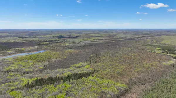 Hawkins, WI 54530,80 Acres County Road M