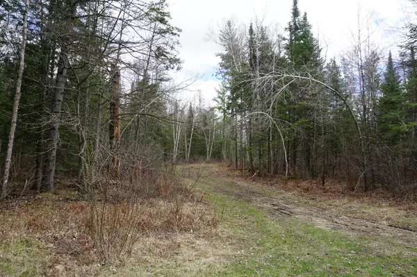 Verdon Twp, MN 55752,*** 240th AVE