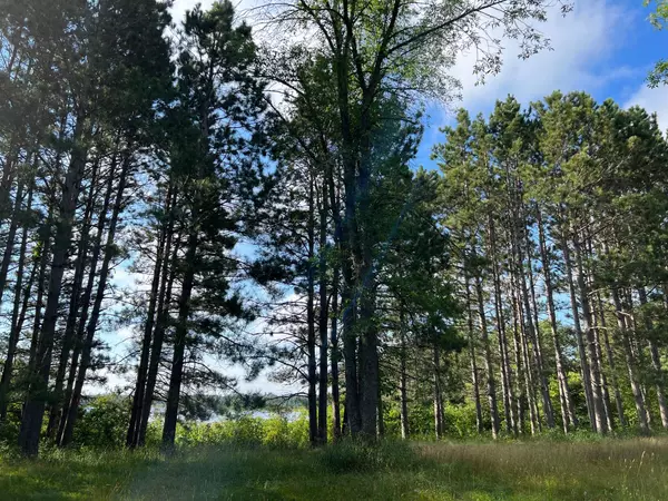 Longville, MN 56655,Tract 1 Lake Breeze LN NE