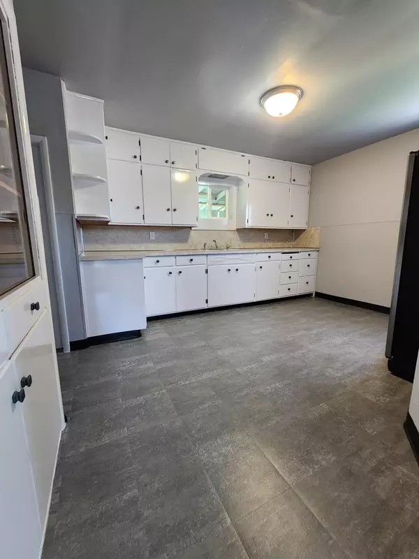 Springfield, MN 56087,410 W Central ST