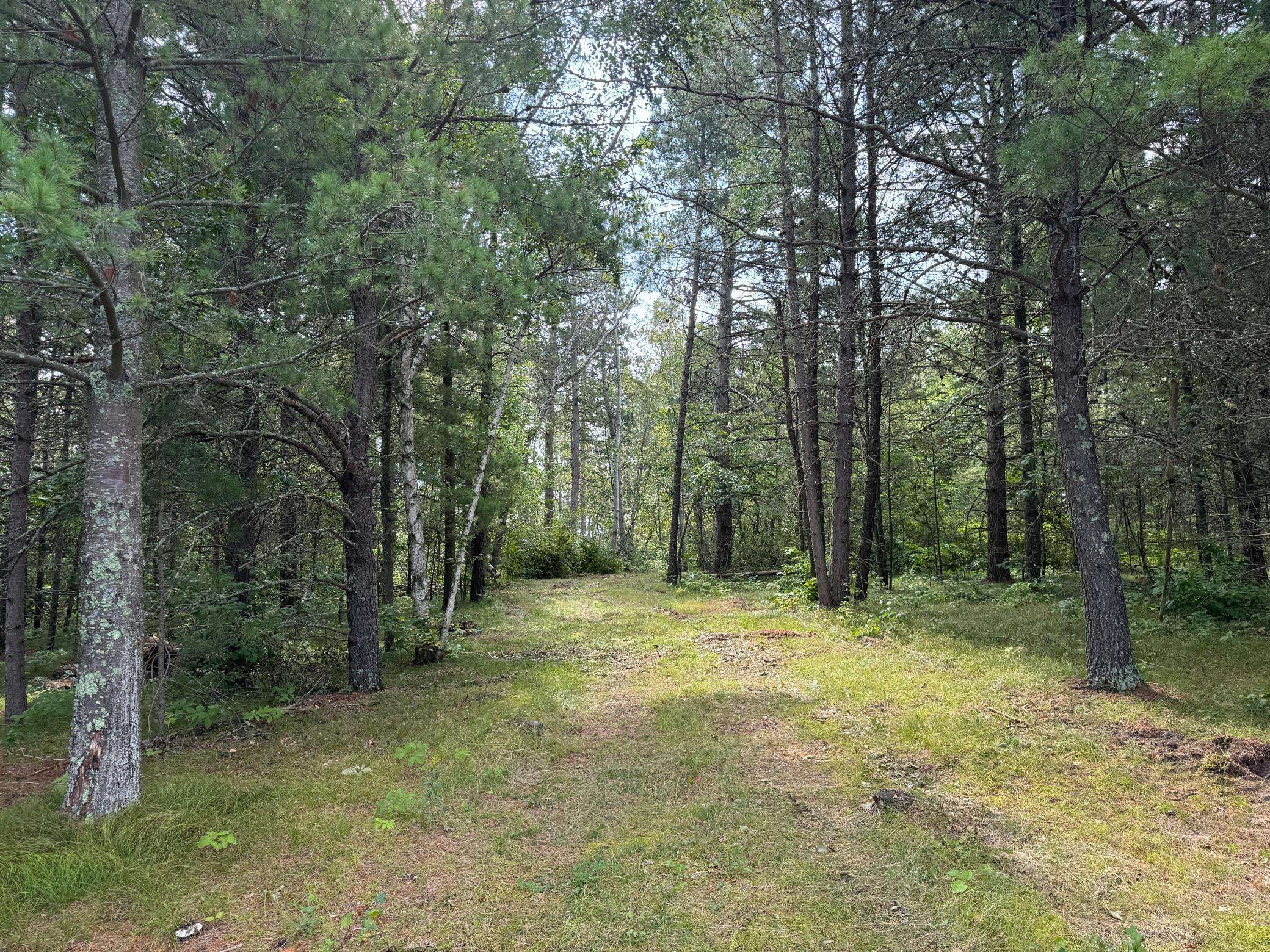 Nevis, MN 56467,Lot 10 Great Deer DR