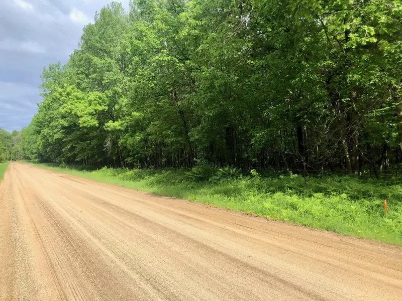 Xxx Lake Hattie DR SW, Backus, MN 56435