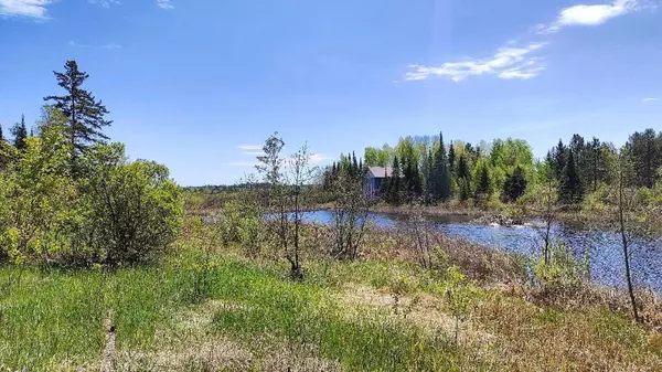 Tower, MN 55790,80054 Tamarack Trail