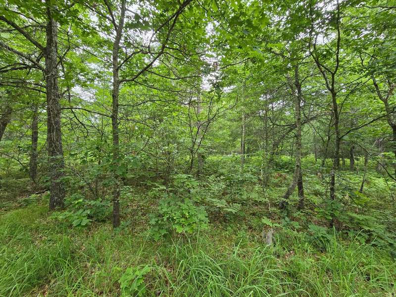 Lot 8 Saylors LN, Siren, WI 54872