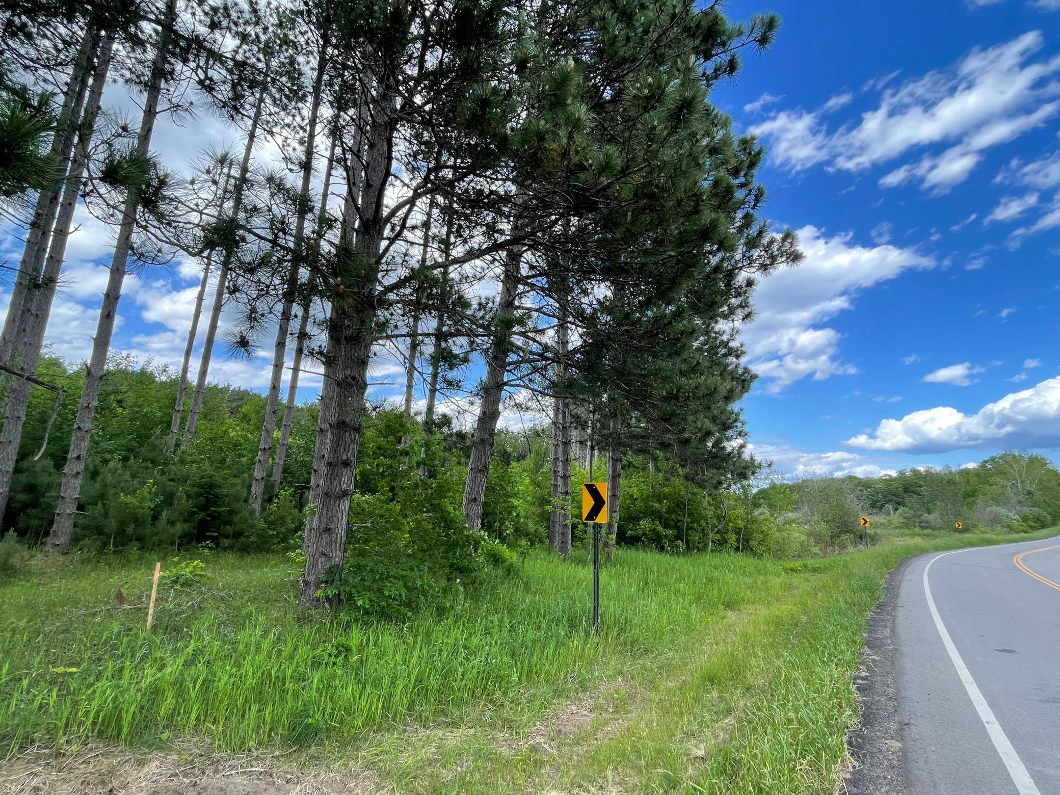 TBD County Rd 145, Jenkins, MN 56472
