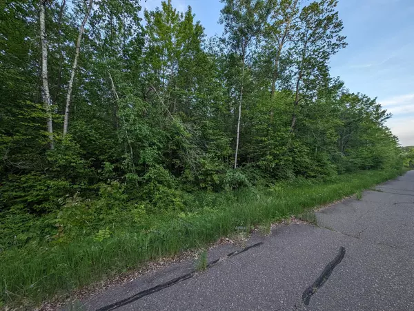 Couderay, WI 54828,00 Smith Rd