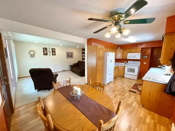 Springfield, MN 56087,12 E Maple ST